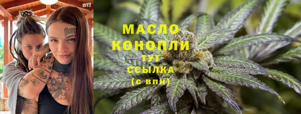 индика Саяногорск