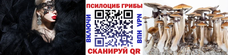 Галлюциногенные грибы MAGIC MUSHROOMS  где купить наркоту  Мезень 